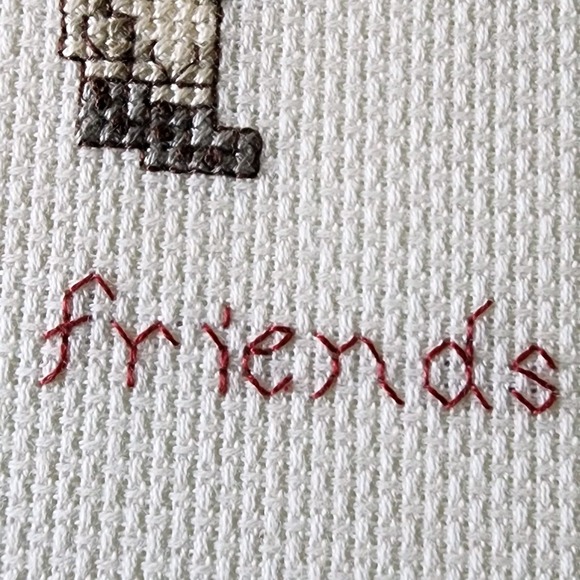 Friends Cross Stitch Finished Piece Cottagecore Picture‎ Friendship Bonnets Art - Picture 5 of 10